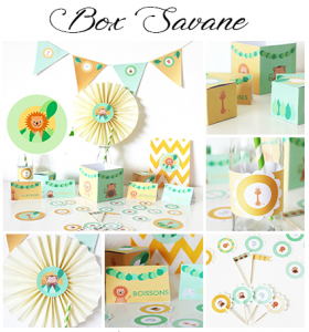 box-anniversaire-savane