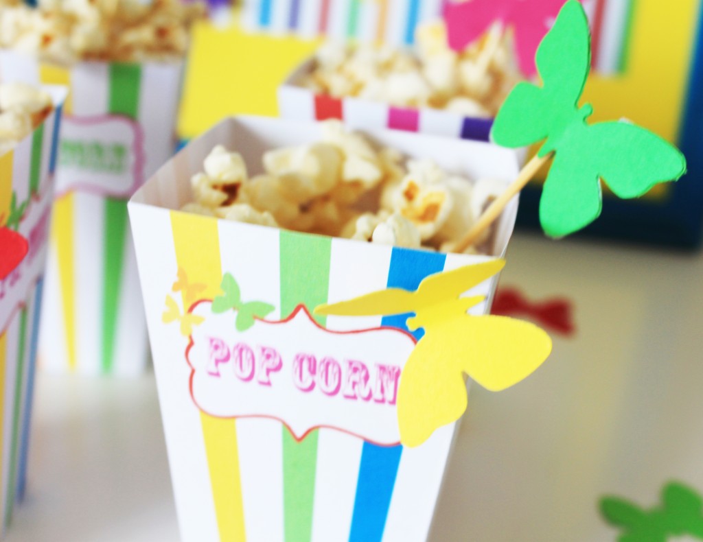 arc-en-ciel-pop-corn-box-butterfly